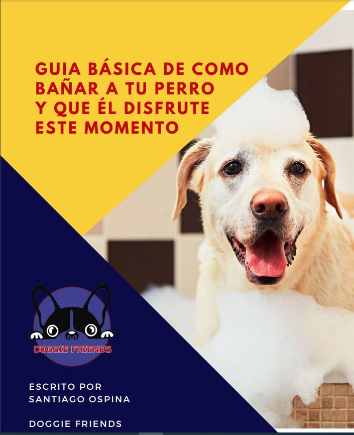 PORTADA EBOOK APRENDE A BAÑAR TU PERRO