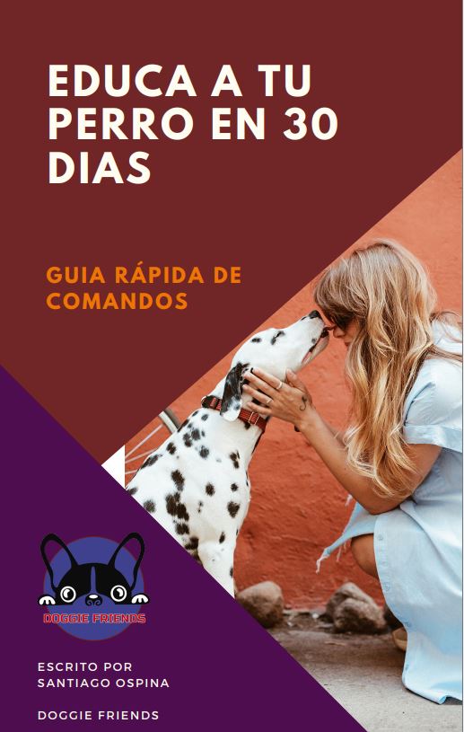 PORTADA EBOOK EDUCA A TU PERRO EN 30 DIAS